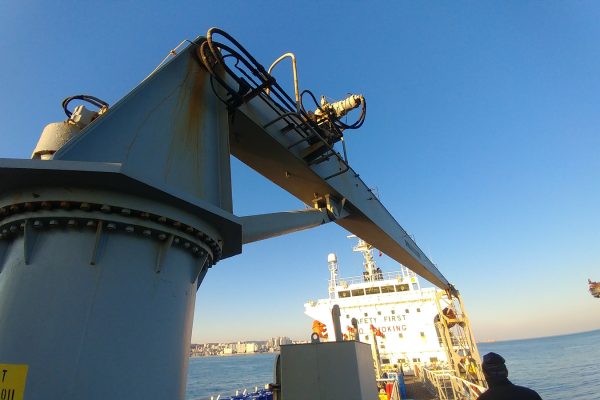 MNS G1 IN10 N1 O2.00 Y0.00 C0.00 YT0 CT0 s0 sY0.00 S0 C0   FM0   FC1836410996176799293019703514681953066081892878201170186604317524442631851944309762079585